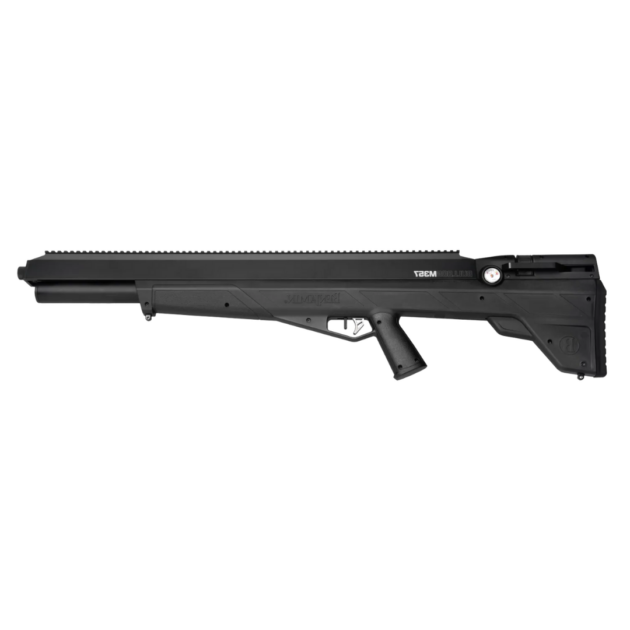 BENJAMIN BULLDOG M357
