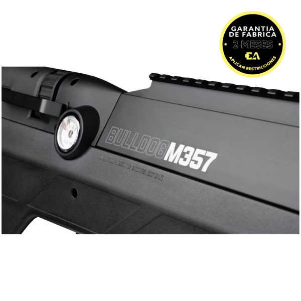BENJAMIN BULLDOG M357 - Imagen 4